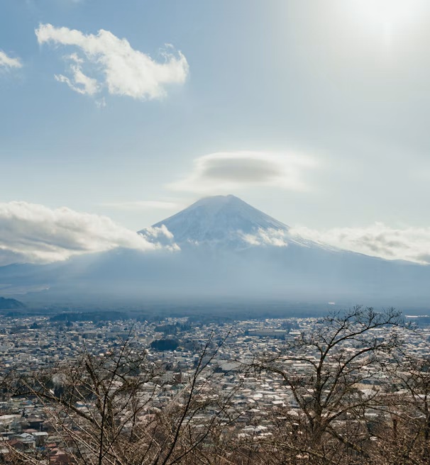 Mount Fuji beyond a town with branches in the foreground
