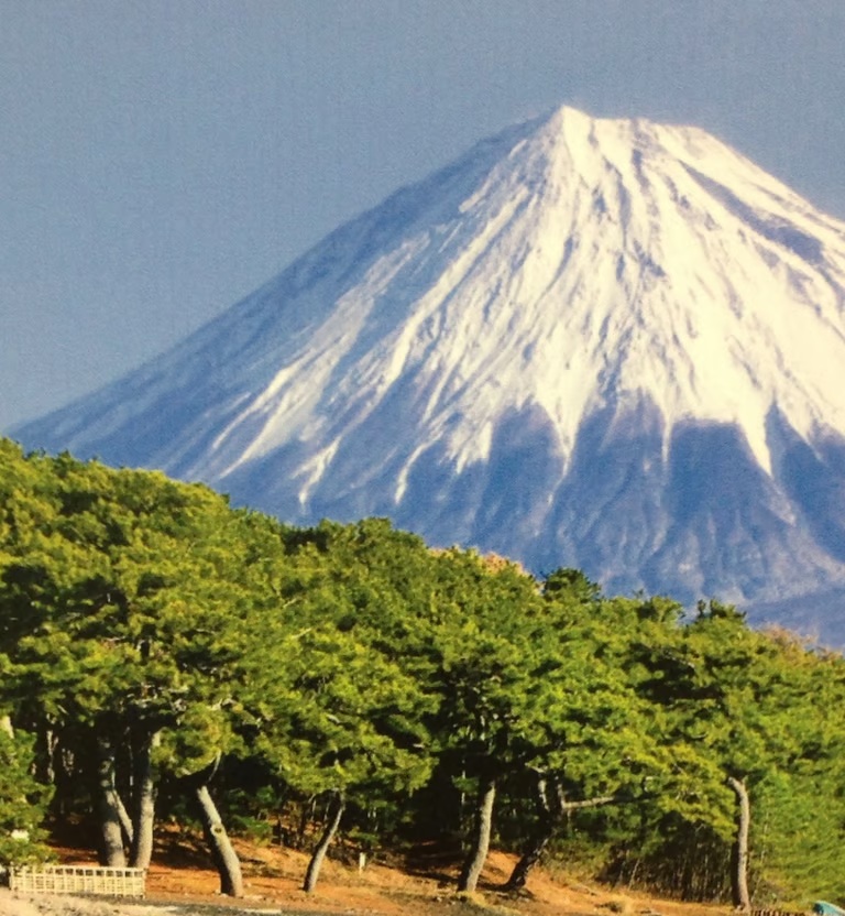 Snow-capped Mount Fuji rising above green trees